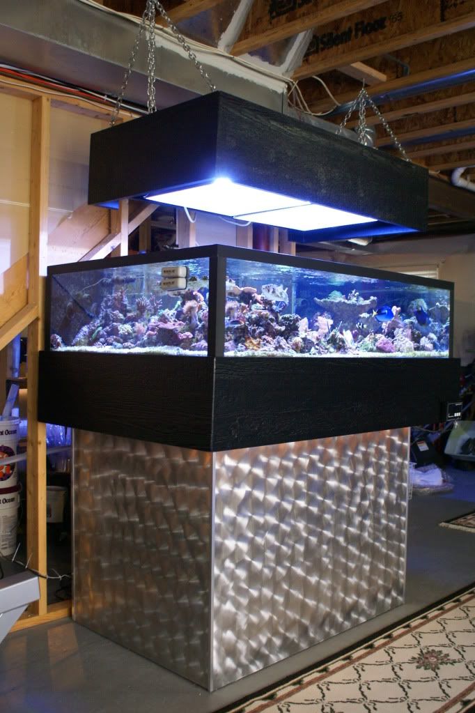 120 gallon modern floating reef aquarium for sale fort collins Reef